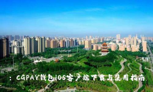 : CGPAY钱包iOS客户端下载与使用指南