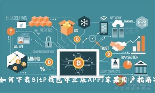 如何下载BitP钱包中文版APP(苹果用户指南)