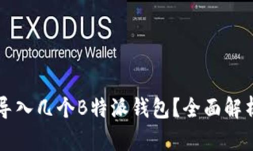 以太能导入几个B特派钱包?全面解析和指南