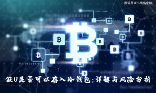 假U是否可以存入冷钱包:详解与风险分析