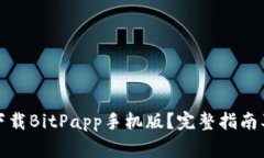 如何在官网上下载BitPapp手
