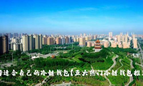 如何选择适合自己的冷链钱包?五大热门冷链钱包推荐与详解