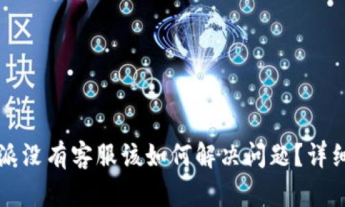 比特派没有客服该如何解决问题？详细指南
