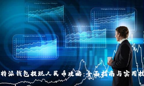 比特派钱包提现人民币攻略:全面指南与实用技巧