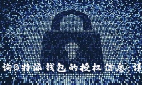 如何查询B特派钱包的授权信息:详细指南