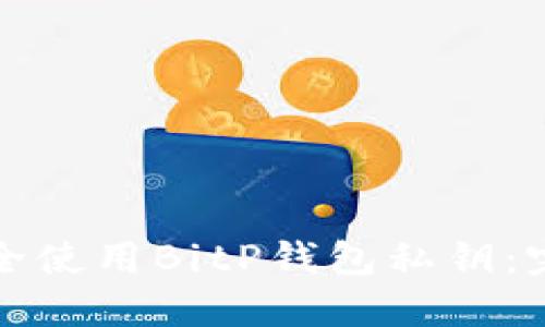 如何安全使用BitP钱包私钥：完整指南