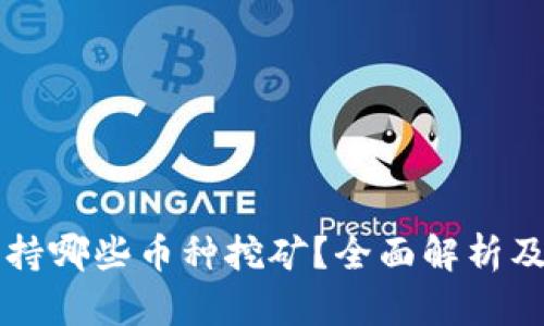 比特派支持哪些币种挖矿?全面解析及挖矿指南