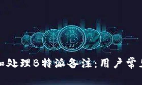 如何查看和处理B特派备注:用户常见问题解答