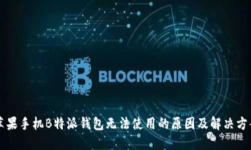 苹果手机B特派钱包无法使用的原因及解决方案