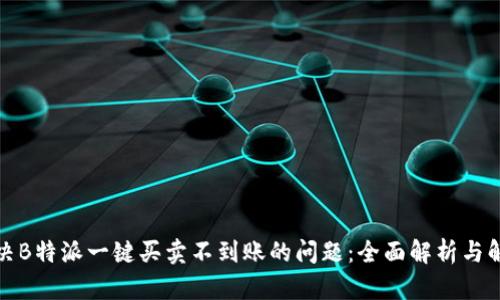 如何解决B特派一键买卖不到账的问题:全面解析与解决方案