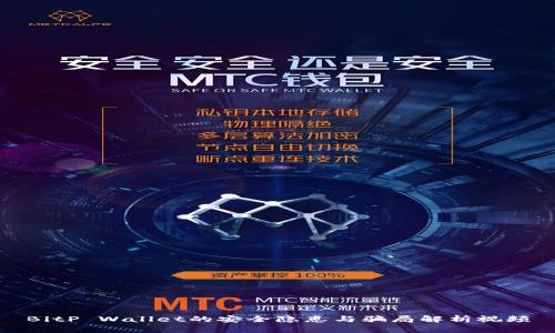BitP Wallet的安全隐患与骗局解析视频