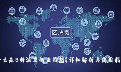 什么是B特派里的云钱包?详细解析与使用指南