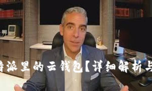 什么是B特派里的云钱包?详细解析与使用指南