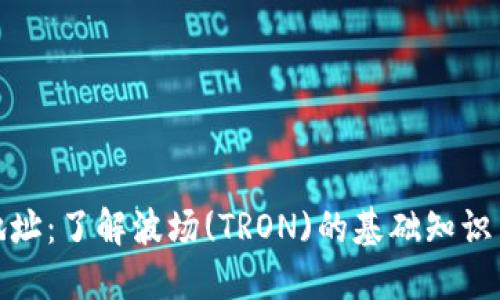波场持币地址:了解波场(TRON)的基础知识与交易安全