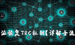 如何通过比特派恢复TRC私