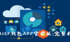 如何下载安装BitP钱包APP官