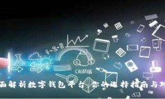 全面解析数字钱包平台：