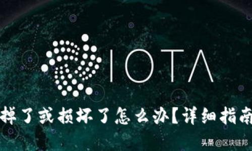 物理冷钱包掉了或损坏了怎么办?详细指南与解决方案
