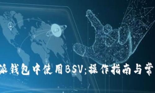 如何在B特派钱包中使用BSV:操作指南与常见问题解答