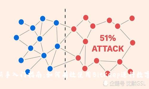 BitKeep新手入门指南：如何有效使用BitKeep进行数字资产管理