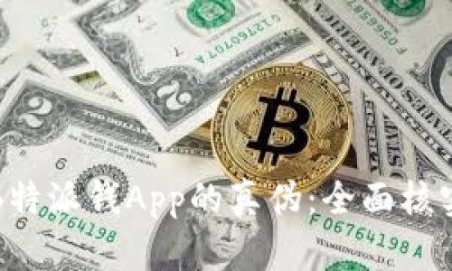 如何识别B特派钱App的真伪:全面核实方法指南