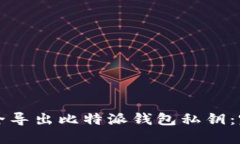 如何安全导出比特派钱包