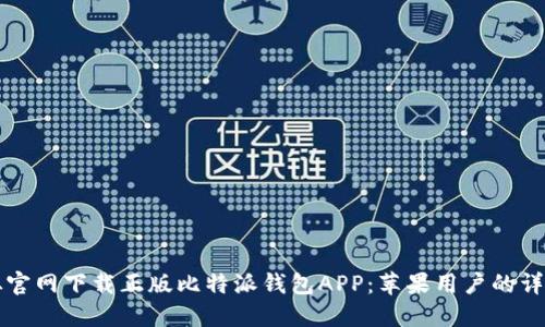 如何从官网下载正版比特派钱包APP:苹果用户的详细指南