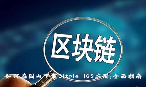 如何在国内下载Bitpie iOS应用:全面指南