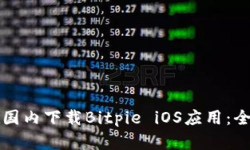 如何在国内下载Bitpie iOS应用:全面指南