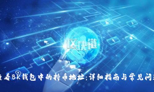 如何查看BK钱包中的持币地址:详细指南与常见问题解答
