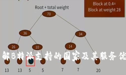 了解B特派支持的国家及其服务优势