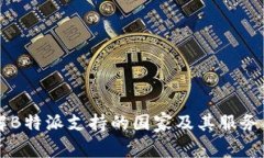 了解B特派支持的国家及其