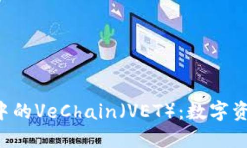 深入了解B特派钱包中的VeChain(VET):数字资产管理与投资新选择