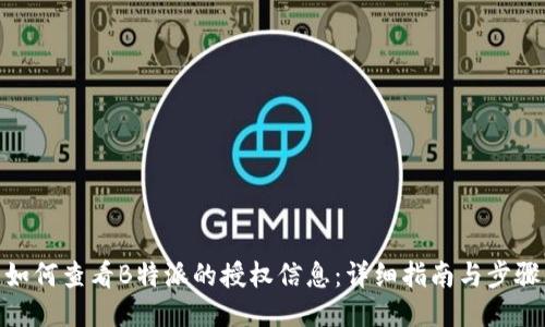 如何查看B特派的授权信息：详细指南与步骤