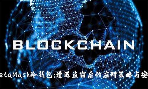 保护你的MetaMask冷钱包:遭遇盗窃后的应对策略与安全防范指南