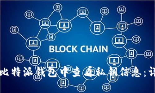 如何在比特派钱包中查看私钥信息:详细指南