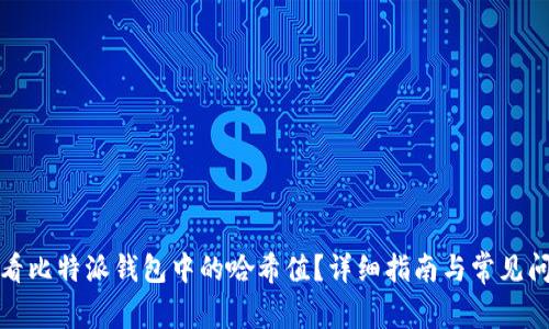 如何查看比特派钱包中的哈希值？详细指南与常见问题解答