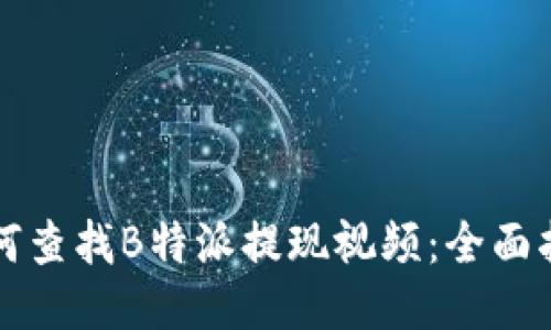 如何查找B特派提现视频:全面指南