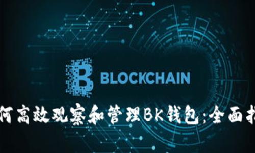 如何高效观察和管理BK钱包:全面指南