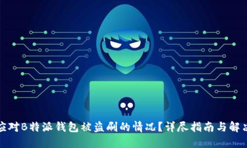 如何应对B特派钱包被盗刷的情况?详尽指南与解决方案