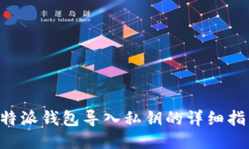 B特派钱包导入私钥的详细指南