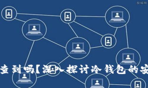 冷钱包的资产能查到吗?深入探讨冷钱包的安全性与隐私保护