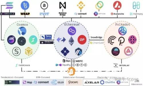 深入分析:B特派的钱包可靠吗?