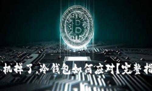 手机掉了,冷钱包如何应对?完整指南