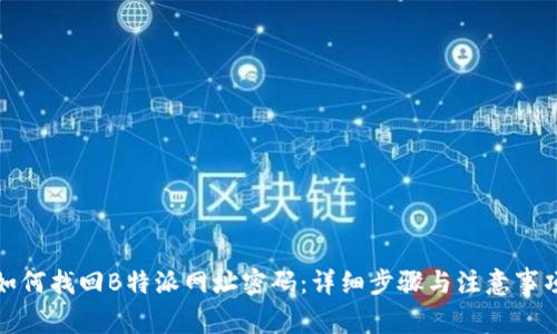 如何找回B特派网址密码:详细步骤与注意事项