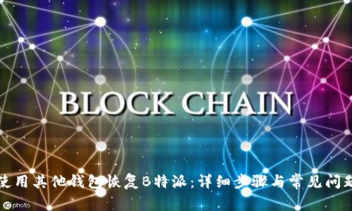 如何使用其他钱包恢复B特派:详细步骤与常见问题解析