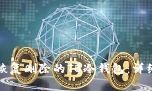 如何恢复删除的TB冷钱包:详细指南
