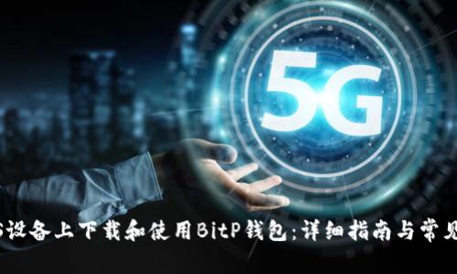 如何在iOS设备上下载和使用BitP钱包:详细指南与常见问题解答