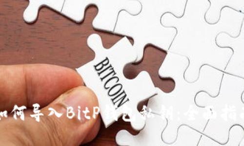 如何导入BitP钱包私钥:全面指南