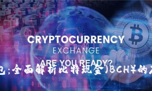 比特派钱包：全面解析比特现金（BCH）的存储和使用